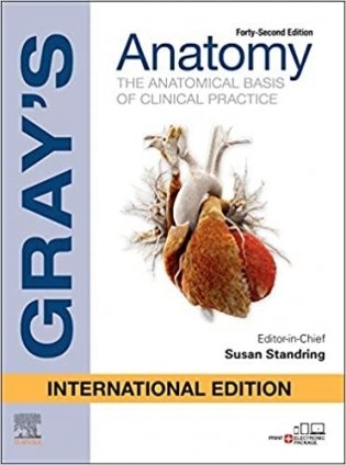 Gray&apos;S Anatomy. 42 ed. International Edition фото книги