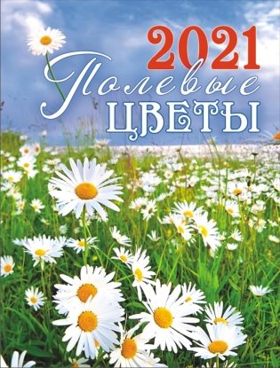 Календарь на магните на 2021 год "Полевые цветы" фото книги