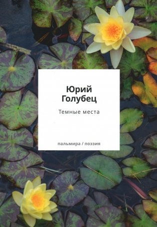 Темные места. Вторая книга песен фото книги