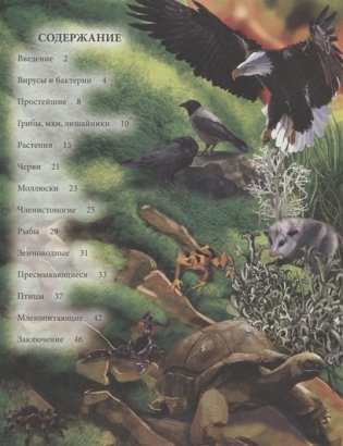 Энциклопедия. Живая природа фото книги 2