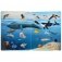 Книжка с окошками. Тайны подводного мира фото книги маленькое 3