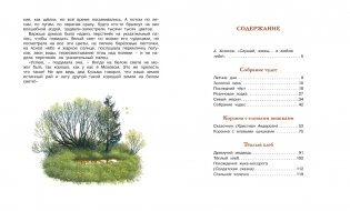 Корзина с еловыми шишками фото книги 9