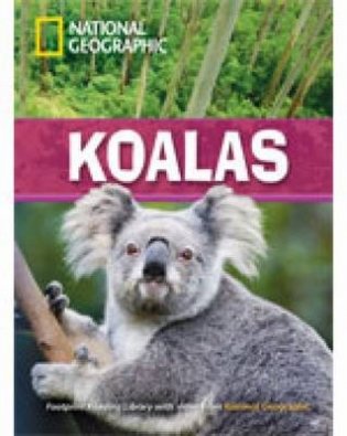 Koalas фото книги