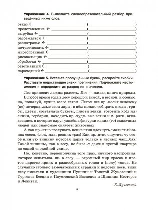 Русский язык на «отлично». 8 класс. Пособие-репетитор фото книги 10