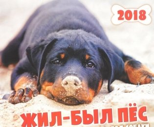 Настенный календарь "Жил-был пёс" на 2018 год фото книги