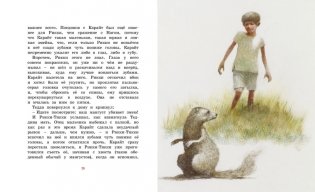 Рикки-Тикки-Тави фото книги 5