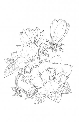 Зачарованный сад. Мини-раскраска-антистресс для творчества и вдохновения (обновленное издание) фото книги 17