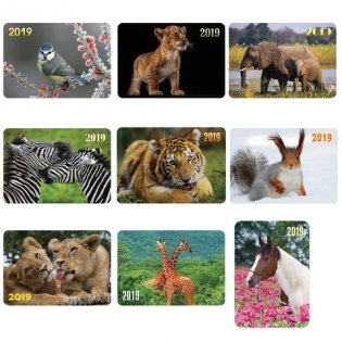 Календарь карманный на 2019 год "Животные", 7х10 см, ламинированный (K286531) фото книги