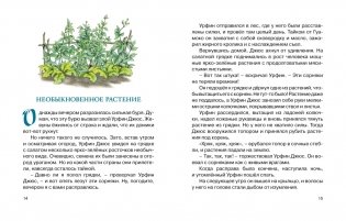 Урфин Джюс и его деревянные солдаты фото книги 7