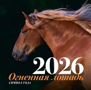 Символ года "Огненная лошадь". Настенный календарь на 2026 год фото книги