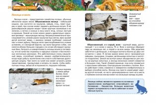 Животные России фото книги 2