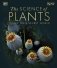 The Science of Plants фото книги маленькое 2