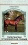 Голштинская и ганноверская лошади фото книги маленькое 2