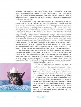 Крошки на ладошке. Трогательное руководство по спасению и заботе о котятах для самых неравнодушных фото книги 11