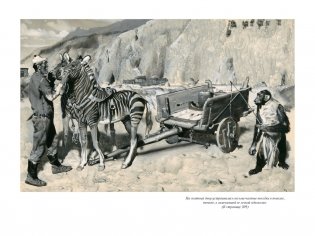 Таинственный остров фото книги 6