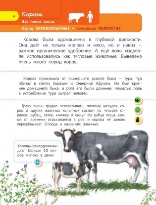 Домашние животные фото книги 5