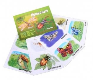 Демонстрационный материал "Насекомые" фото книги 2