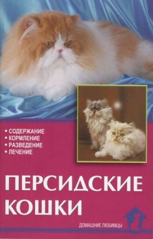 Персидские кошки фото книги