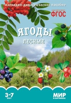 Мир в картинках. Ягоды лесные. ФГОС фото книги