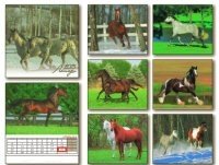 Календарь на 2015 год "Лошади" фото книги