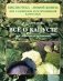 Все о капусте: Как вырастить ее на Камчатке фото книги маленькое 2