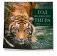 Год водяного тигра. Календарь настенный на 2022 год фото книги маленькое 3