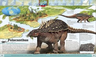 What`s Where on Earth? Dinosaur Atlas фото книги 6