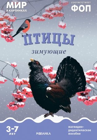 Птицы зимующие: Наглядно-дидактическое пособие фото книги