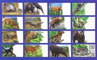 Обучающие карточки Животные Южной Америки фото книги 2