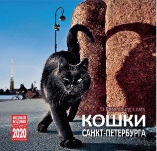 Календарь на 2020 год "Кошки Санкт-Петербурга" (КР10-20088) фото книги