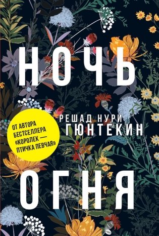 Ночь огня: роман. (обл.) фото книги