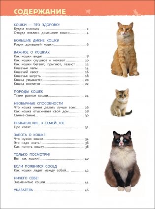 Кошки и котята. Энциклопедия для детского сада фото книги 2