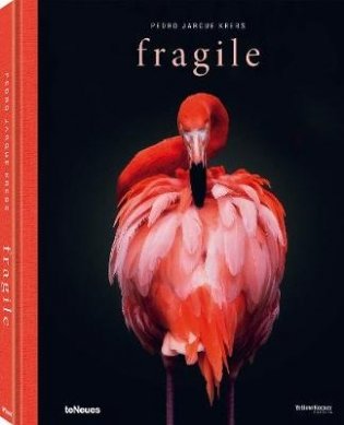 Fragile фото книги