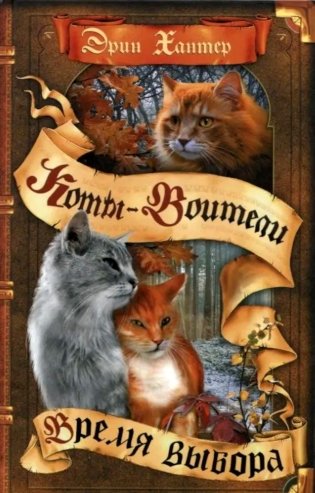 Время выбора фото книги