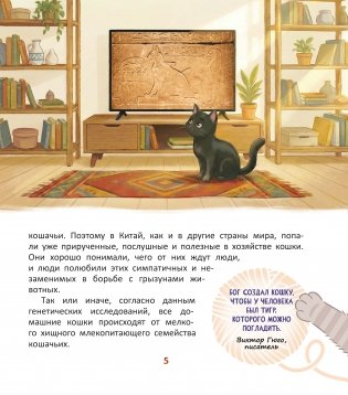 ТЫ и коТЫ. Книга в историях о котах и кошечках фото книги 4
