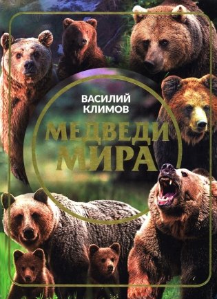 Медведи мира фото книги