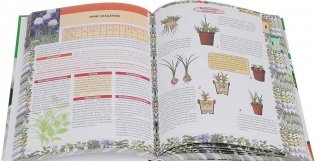 Самая нужная книга о комнатных растениях фото книги 3