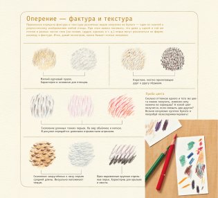 Рисуем милых птиц фото книги 8