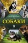 Собаки. Популярный иллюстрированный гид фото книги маленькое 2