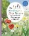 We're Going on a Bear Hunt. Let's Discover Flowers and Trees фото книги маленькое 2