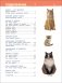 Кошки и котята. Энциклопедия для детского сада фото книги маленькое 3