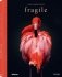 Fragile фото книги маленькое 2