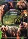Медведи мира фото книги маленькое 2