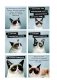 Grumpy Cat. Правила жизни самой сердитой кошки в мире фото книги маленькое 8