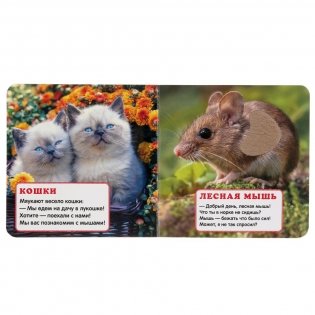 Кто где живет. Книжка-картонка с тактилом фото книги 3