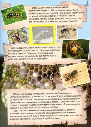 Удивительный мир насекомых. Атлас фото книги 5