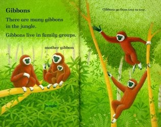 Wild Animals – Ladybird Readers. Level 2 + downloadable audio фото книги 2