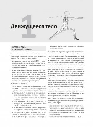 Анатомия йоги: раскраска. Изучите форму и биомеханику более чем 50 асан фото книги 7