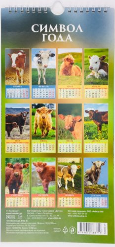 Символ года. Вид 2. Календарь настенный с ригелем на 2021 год (Евро) фото книги 3