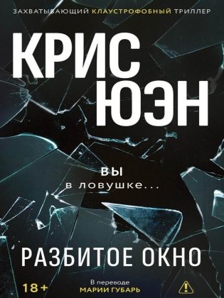 Разбитое окно фото книги